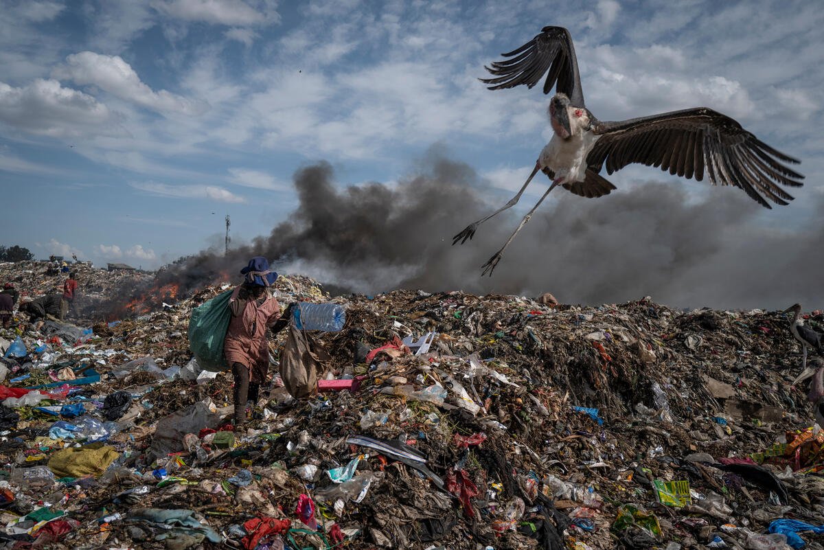 Vestiti e inquinamento: un volatile plana su una discarica di abbigliamento