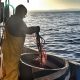 Work with the sea – La pesca