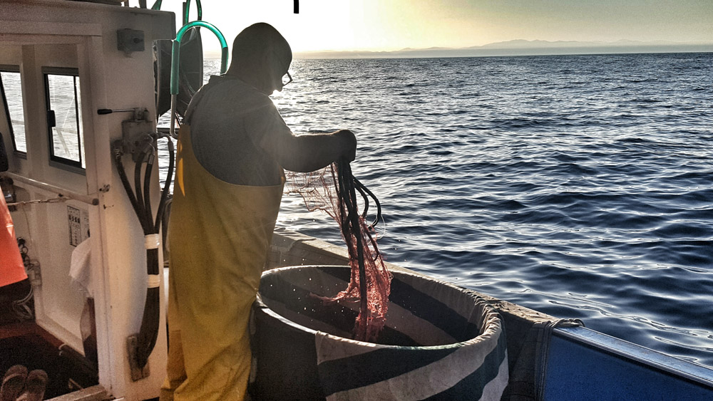 Work with the sea – La pesca