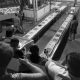 Work with the sea – i gesti del mercato