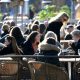Svezia, te l’avevamo detto. Parlano gli italiani nel Paese senza lockdown