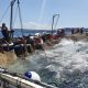 Tonnare sulcitane: l’oro rosso di Sardegna che fa bene all’occupazione