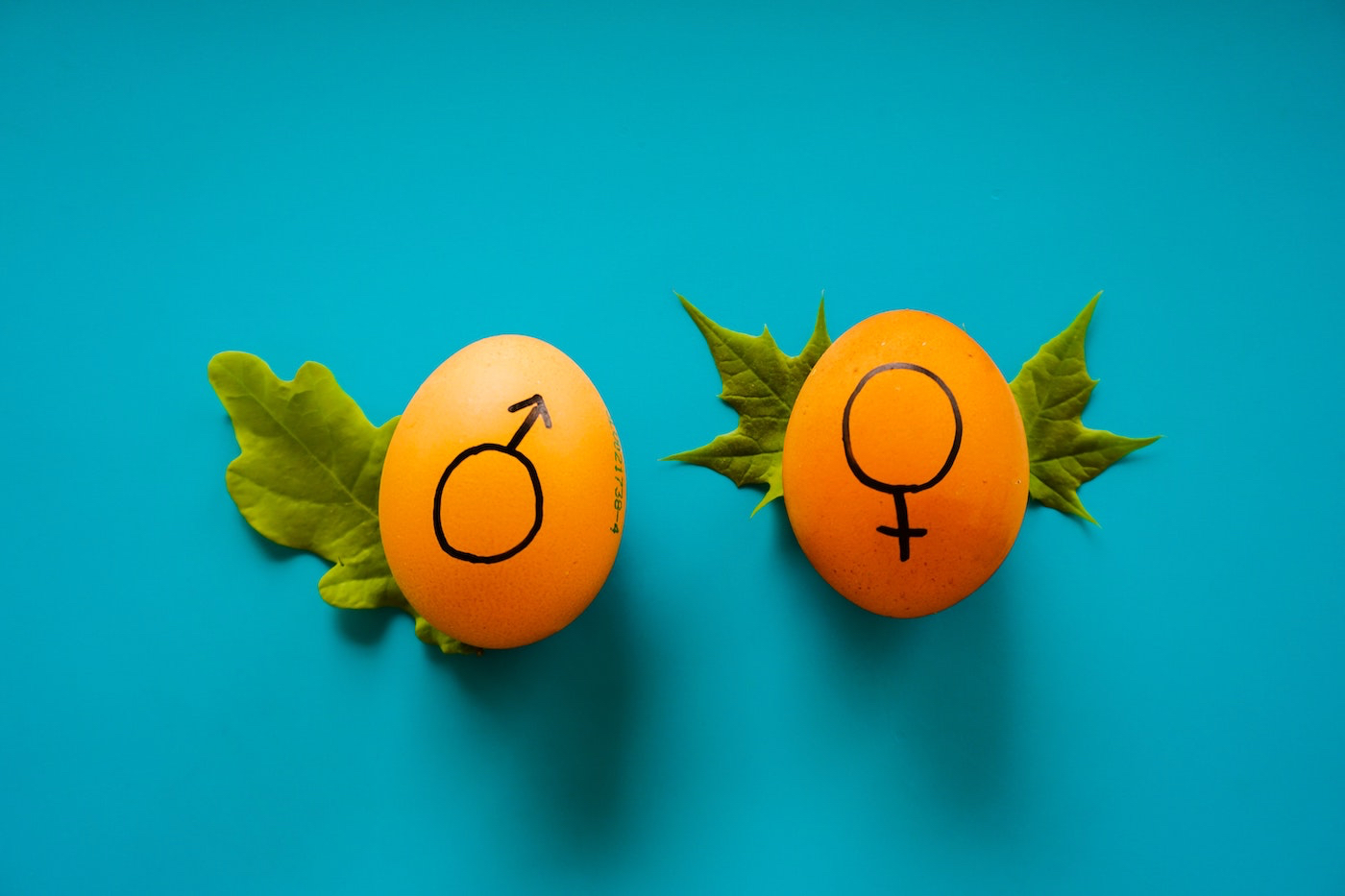 Genere sul lavoro: due uova con il contrassegno dei generi maschile e femminile.