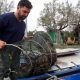 Quant’è fragile l’Adriatico: dalla pesca selvaggia alla sostenibilità