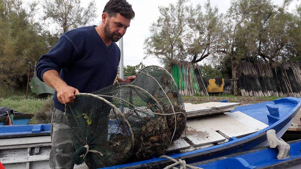 Quant’è fragile l’Adriatico: dalla pesca selvaggia alla sostenibilità