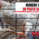 Editoriale 107. Un posto sicuro
