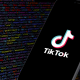 TikTok, non solo algoritmo: nel documento scovato dal NYT i favori ai content creator