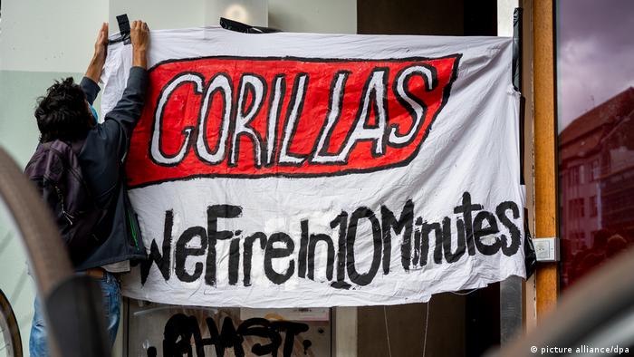 Non è giungla per Gorillas