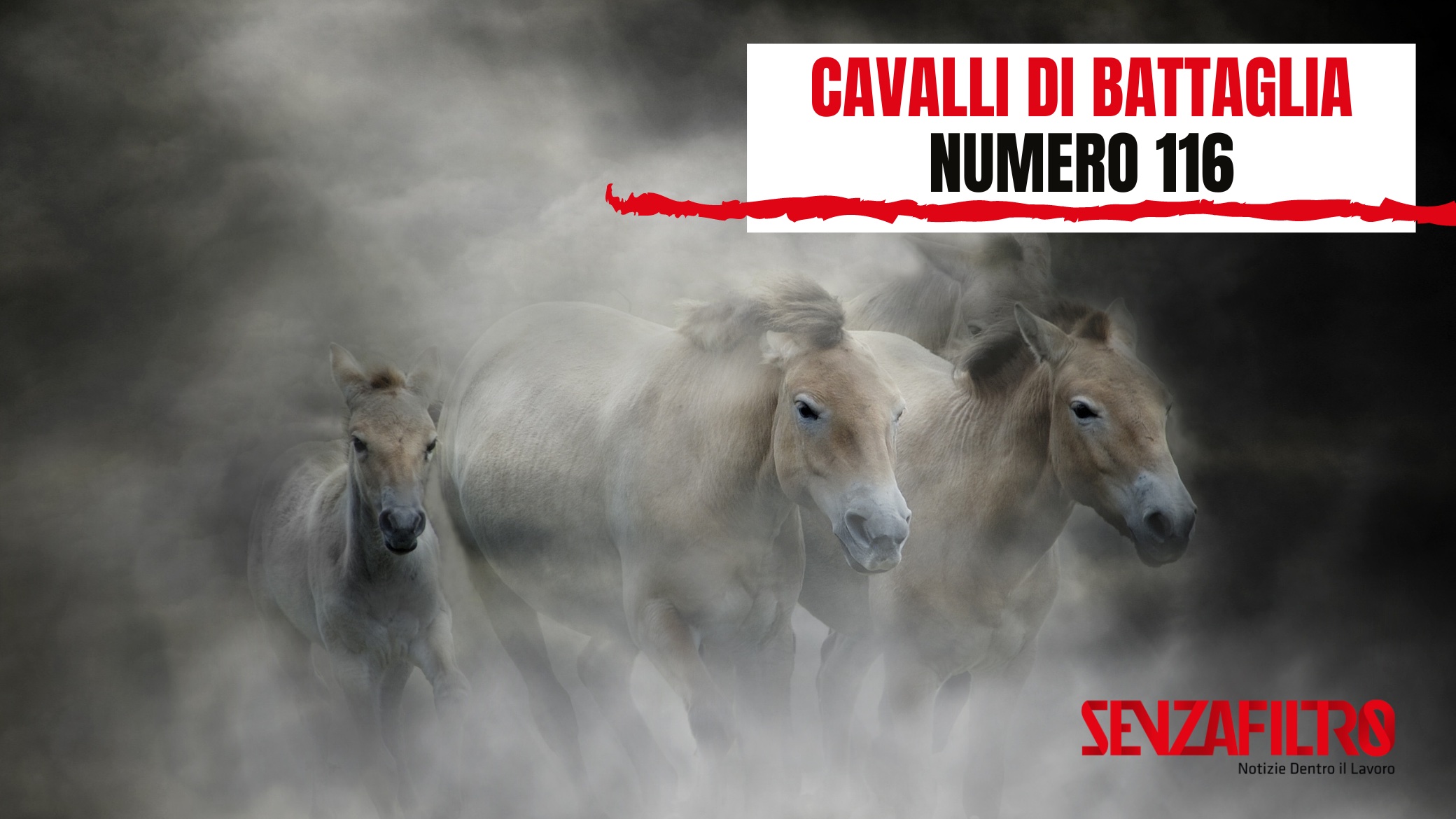 Cavalli di battaglia, la copertina del mensile 116 di SenzaFiltro